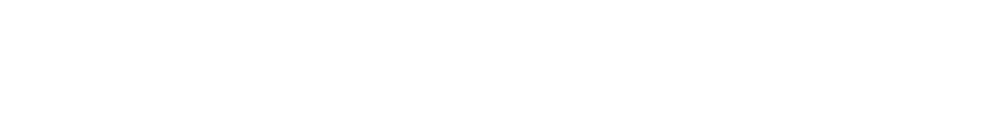 Middleton Partners
